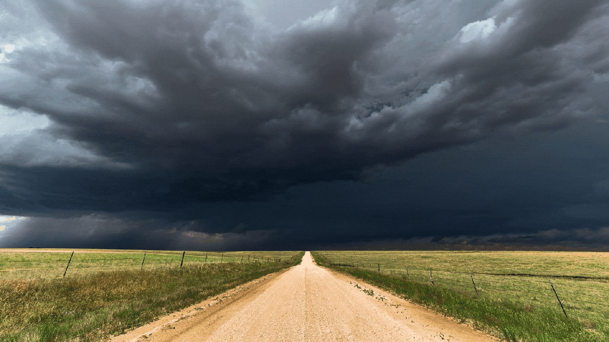 The Rain King reigns&nbsp;supreme